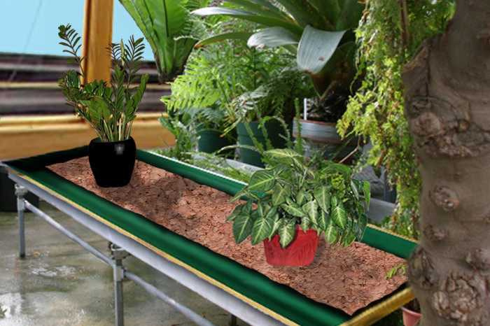 Design Photoshop par janefrog pour DesignCrowd (Community Contests) | Design #8943682