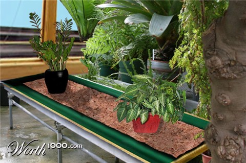 Photoshop Design by janefrog