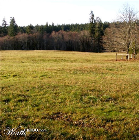 Photography by Feature