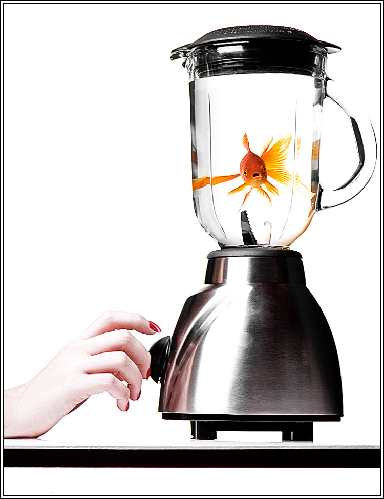 Photographie par mated1976 pour DesignCrowd (Community Contests) | Design #8944468