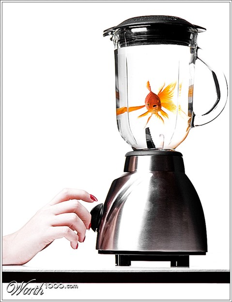 Photography by mated1976