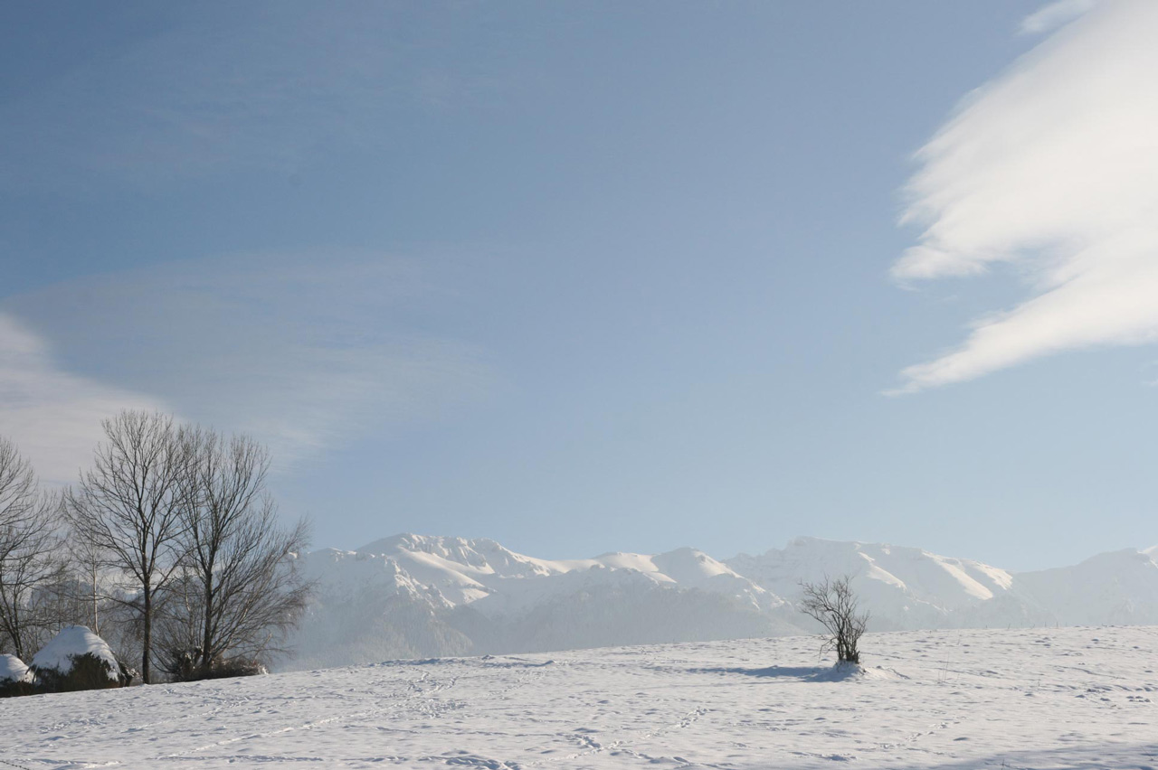 Photography by andr33a for DesignCrowd (Community Contests) | Design #8943968
