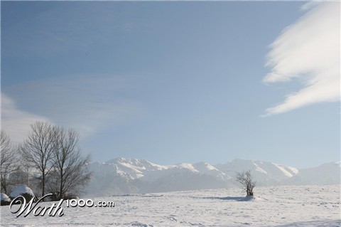Photography by andr33a