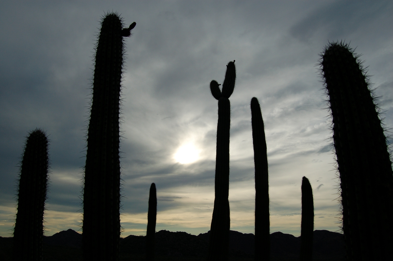 Fotografía por Endrinez para DesignCrowd (Community Contests) | Diseño #8943975