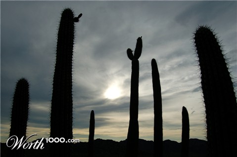 Photography by Endrinez