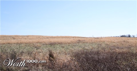 Photography by mindy3051