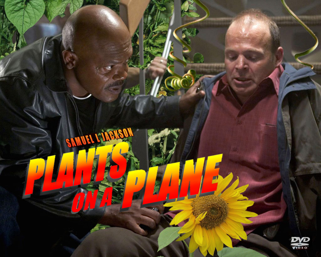 Photoshop-Design von madscotsman für DesignCrowd (Community Contests) | Design #8943794