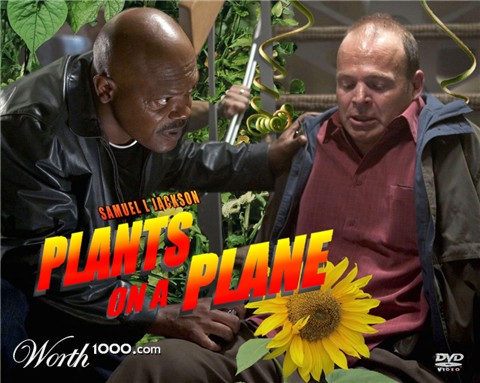 Photoshop Design by madscotsman