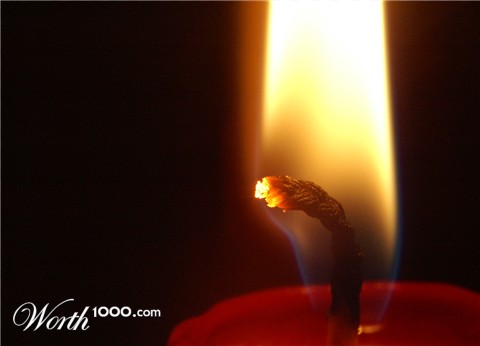 Photography by oruart