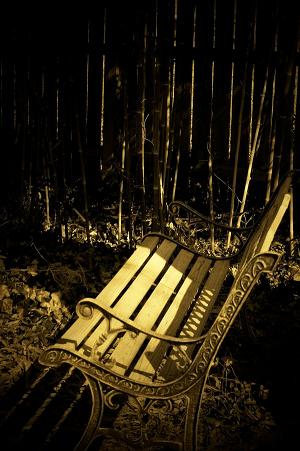 Photography by MsCaffey for DesignCrowd (Community Contests) | Design #8943137