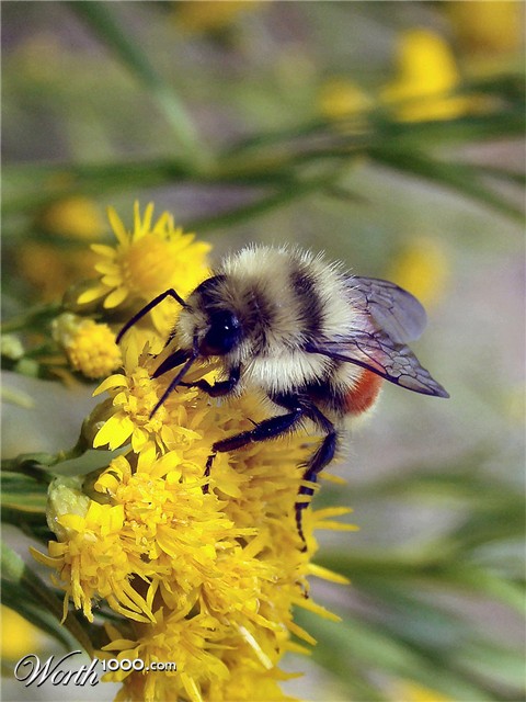 Photography by PTurner