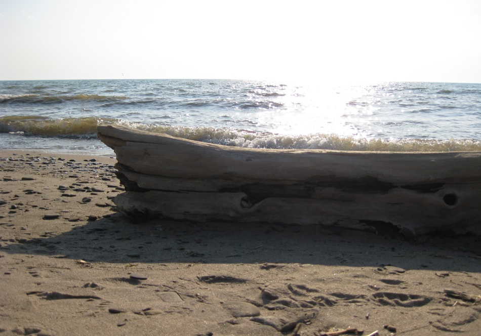 Photography by joshmom for DesignCrowd (Community Contests) | Design #8944018