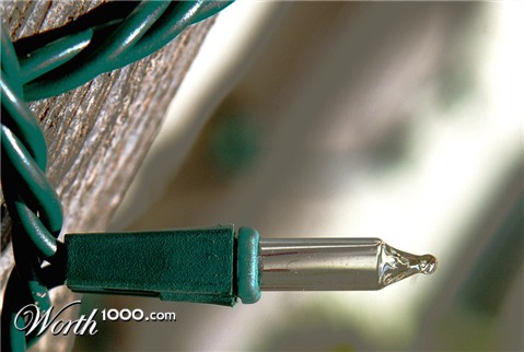 Photography by margold