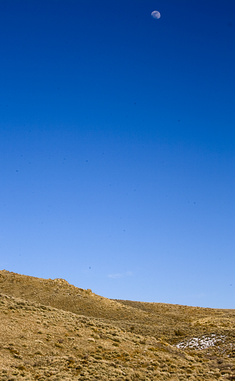 Photographie par nikneven pour DesignCrowd (Community Contests) | Design #8943933