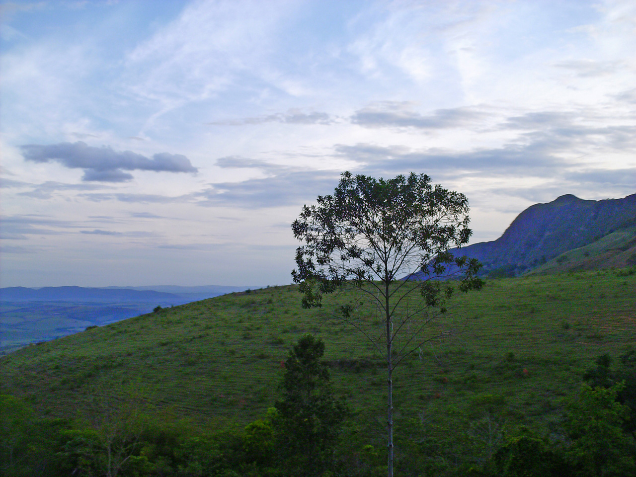 Fotografía por TRANSCENDENTalMAN para DesignCrowd (Community Contests) | Diseño #8944014