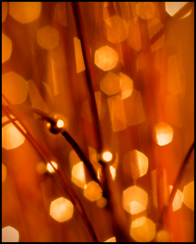Photography by essjaynz for DesignCrowd (Community Contests) | Design #8947116