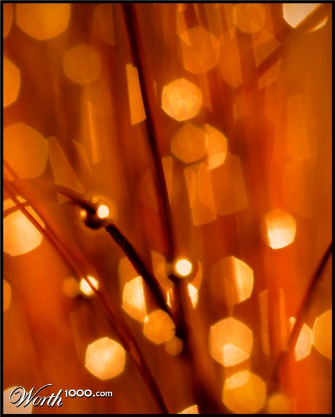 Photography by essjaynz