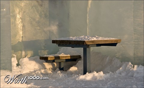 Photography by georgethedog