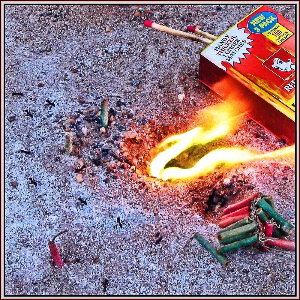 Photography by ICEBUNNY for DesignCrowd (Community Contests) | Design #8948472