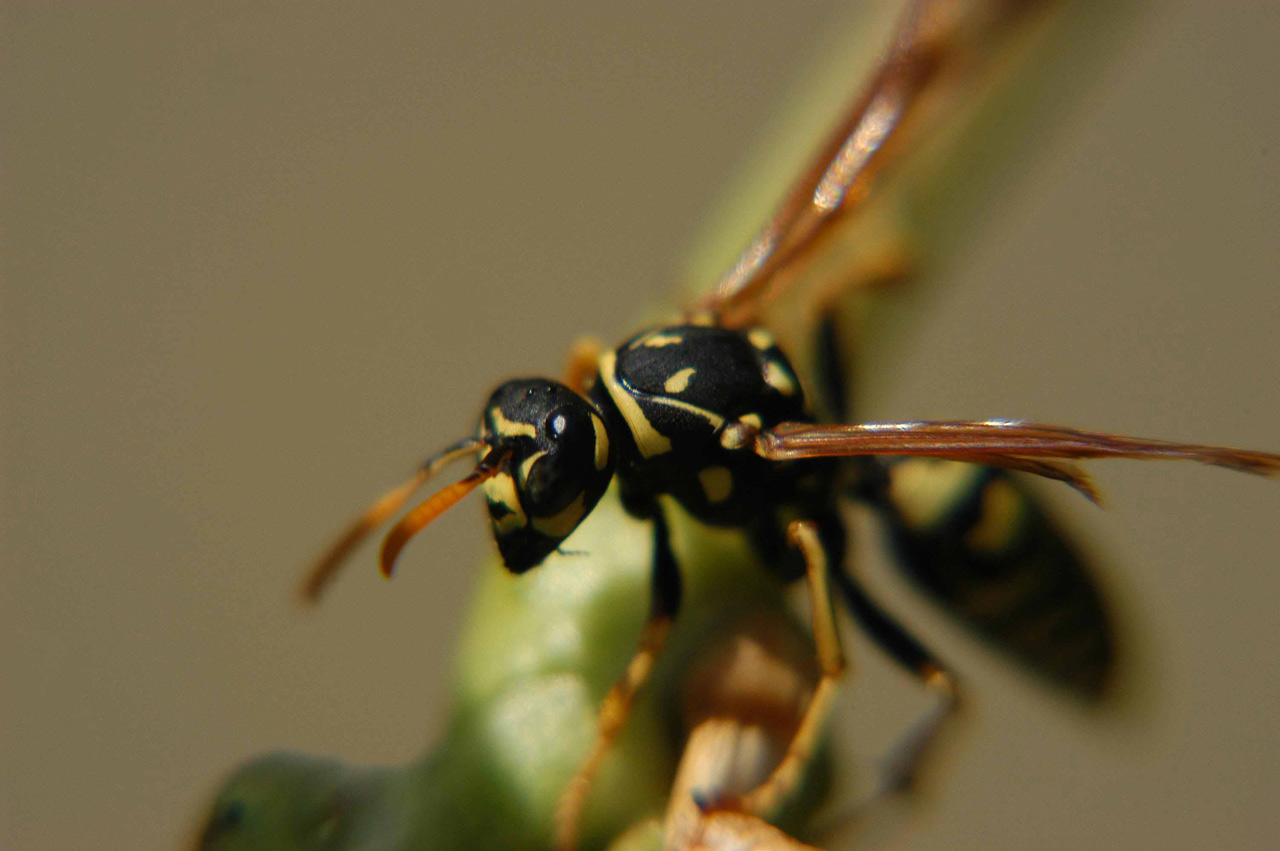 Photography by photomaniagraphy for DesignCrowd (Community Contests) | Design #8945891