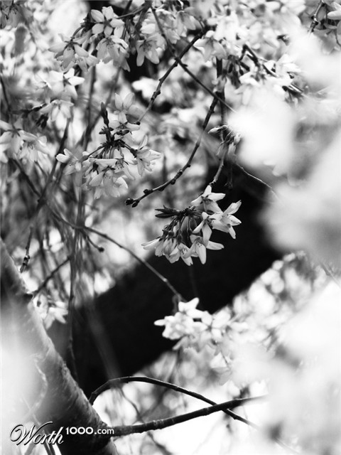 Photography by pwis0807