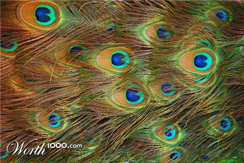 Photography by jaredb93max