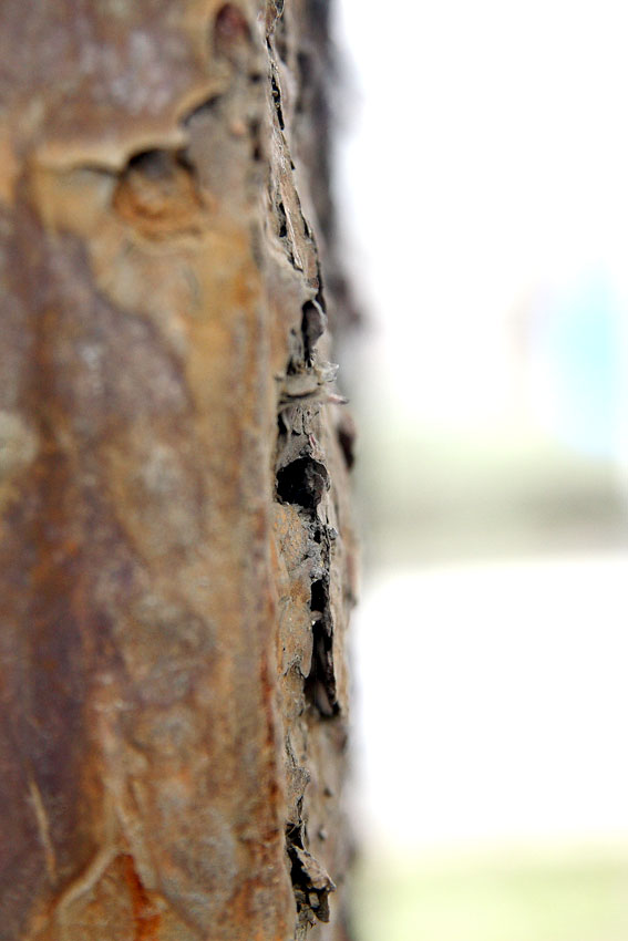 Photography by janhus for DesignCrowd (Community Contests) | Design #8946468