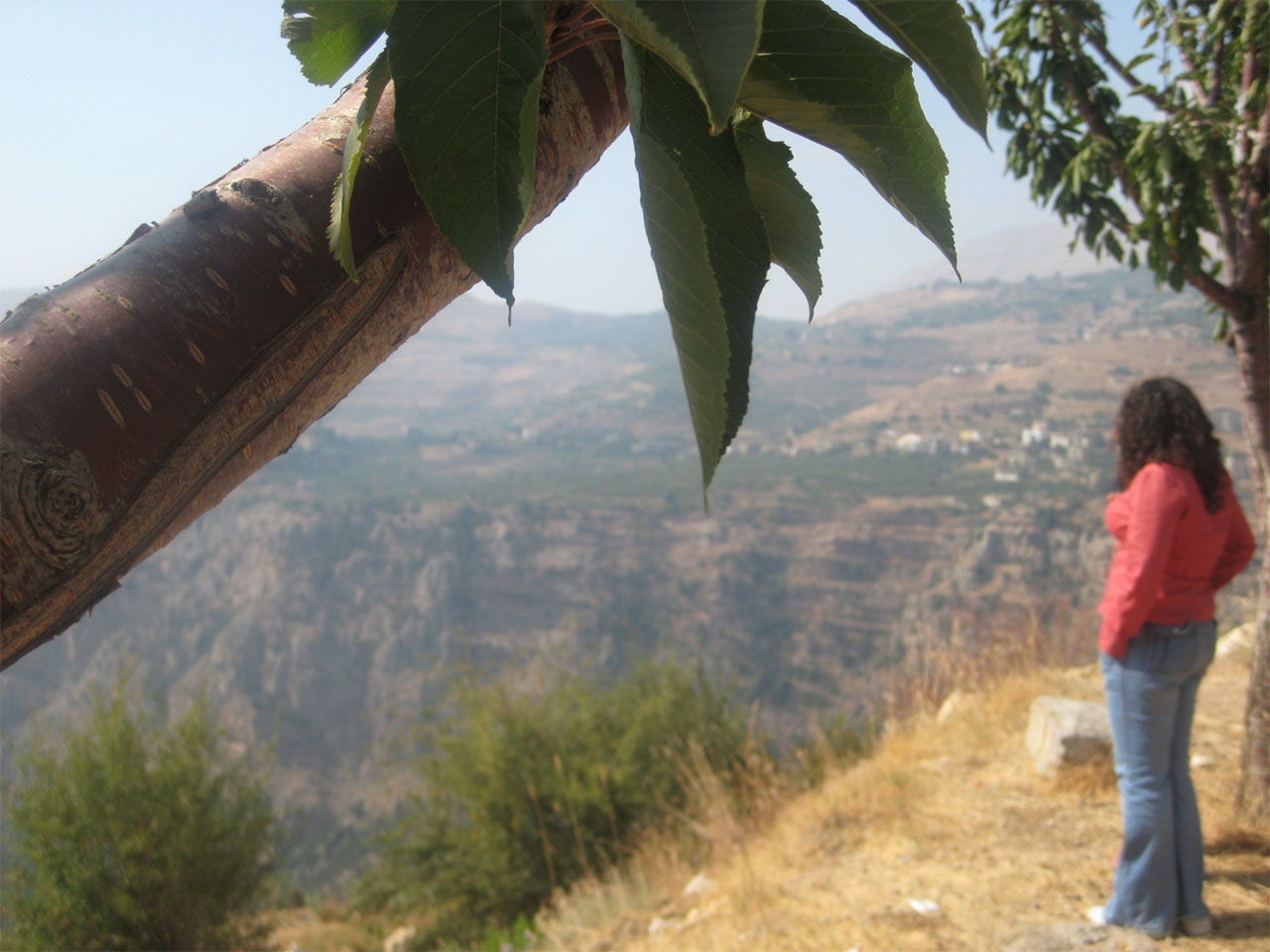 Photography by shakra for DesignCrowd (Community Contests) | Design #8946462