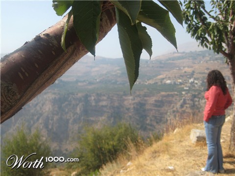 Photography by shakra