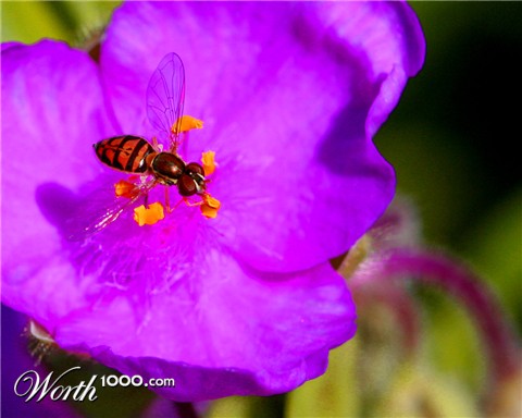 Photography by FatherHinie