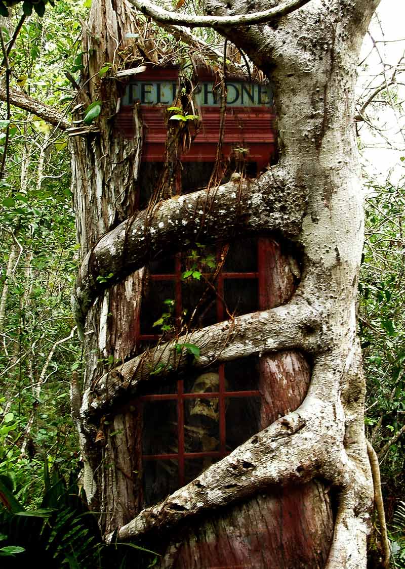 Photoshop Design by castiza for DesignCrowd (Community Contests) | Design #8943788