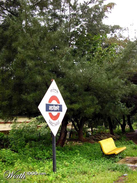 Photography by siddheshsg