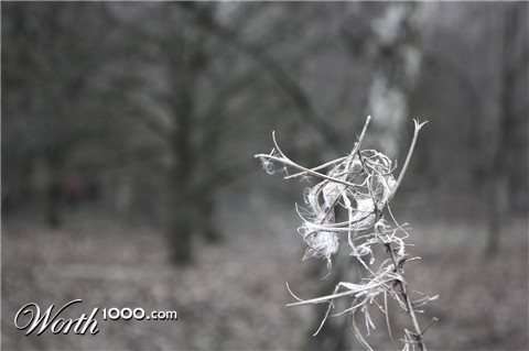 Photography by tHillbilly