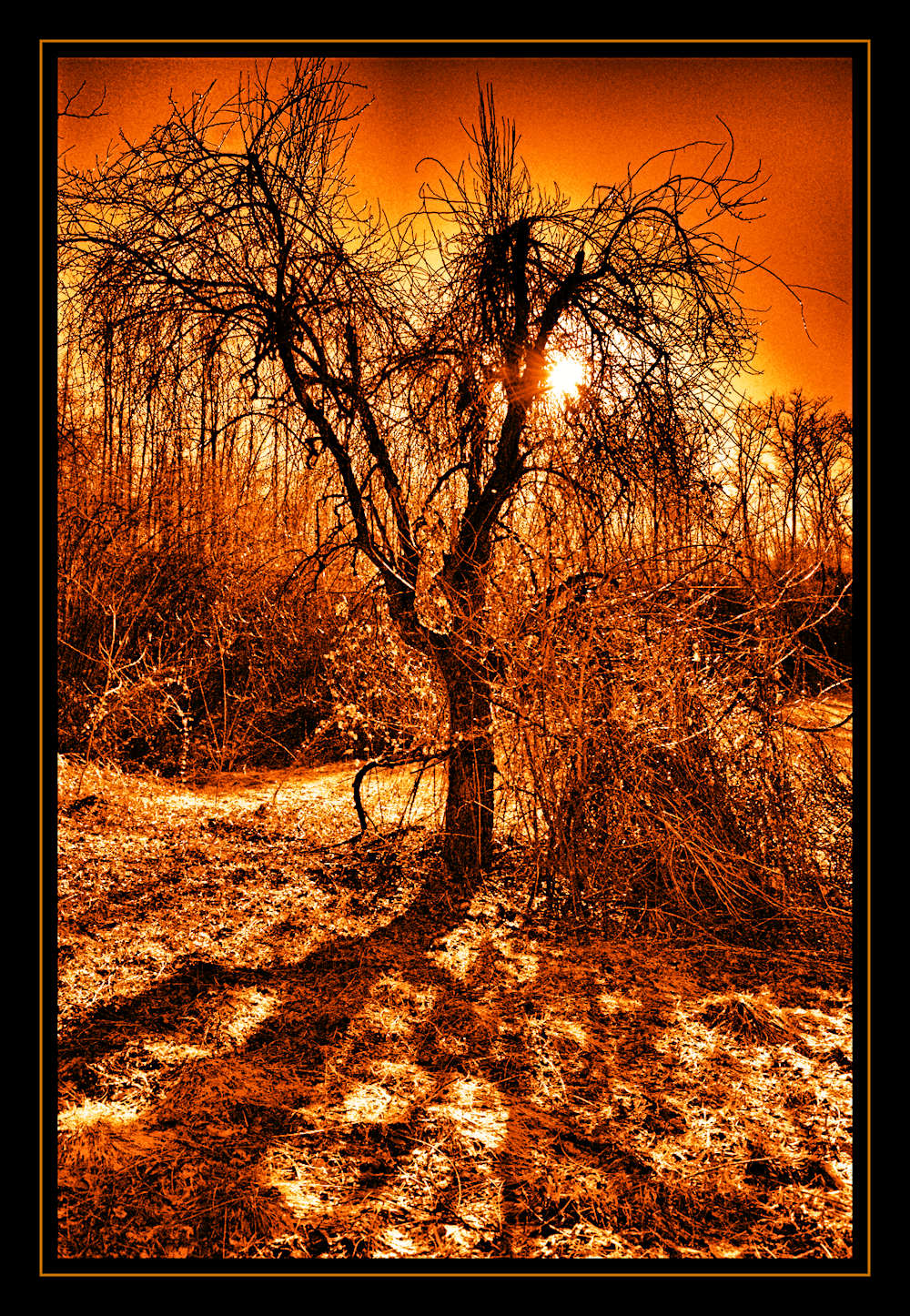 Photography by ercolano for DesignCrowd (Community Contests) | Design #8944843