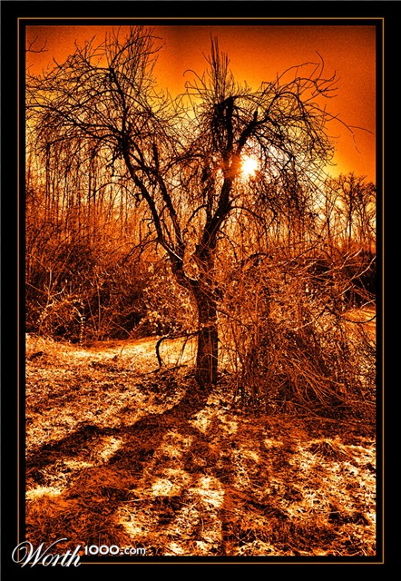 Photography by ercolano