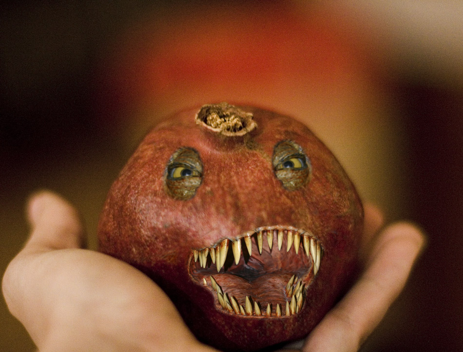 Diseño de Photoshop por snakebit para DesignCrowd (Community Contests) | Diseño #8943834