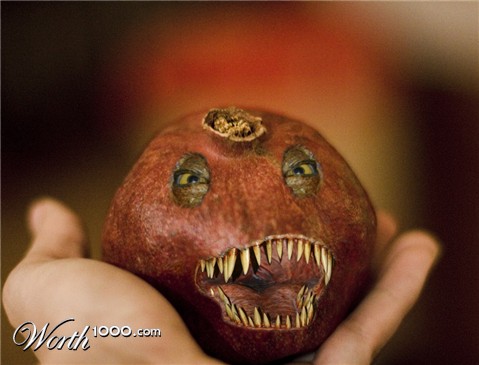 Photoshop Design by snakebit