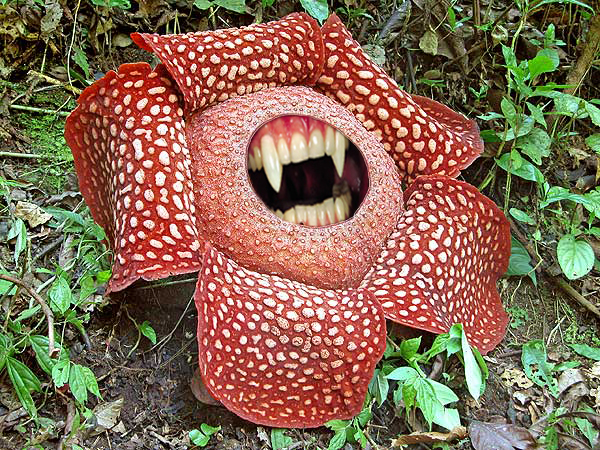 Photoshop Design by Mordey for DesignCrowd (Community Contests) | Design #8943841