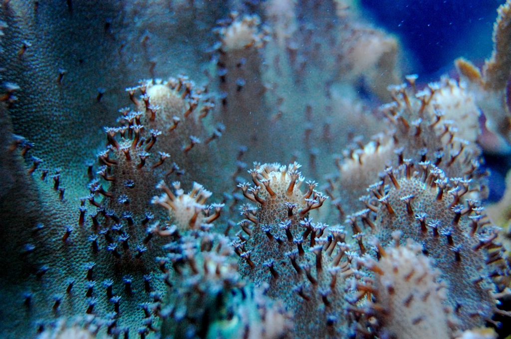 Photography by chronus24 for DesignCrowd (Community Contests) | Design #8945770