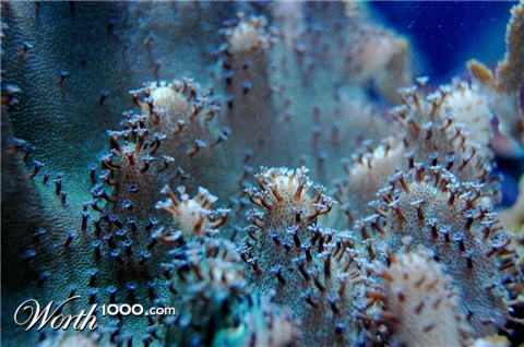 Photography by chronus24