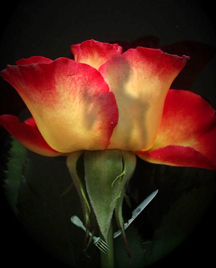 Design Photoshop par aards2 pour DesignCrowd (Community Contests) | Design #8943818