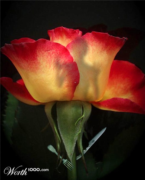 Photoshop Design by aards2