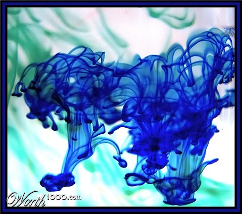 Photography by Hickster81