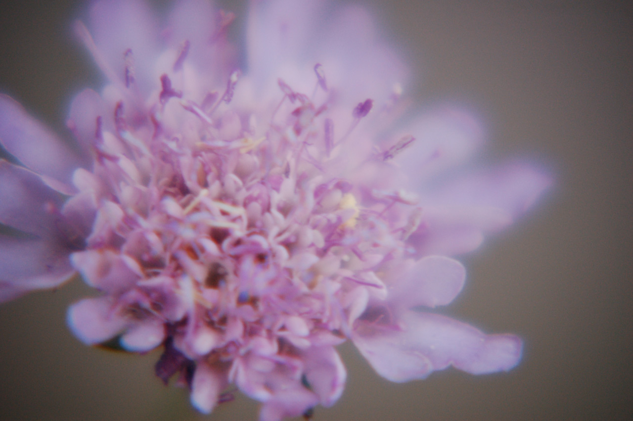 Photography by LovePeaceRainbow for DesignCrowd (Community Contests) | Design #8946570