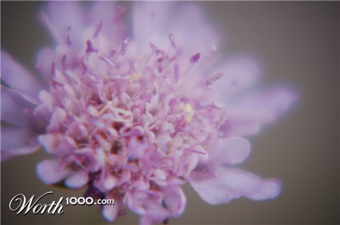 Photography by LovePeaceRainbow