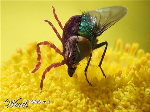 Photoshop Design by Menmar