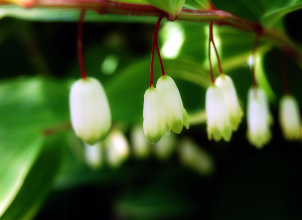 Photography by ecopper for DesignCrowd (Community Contests) | Design #8946583