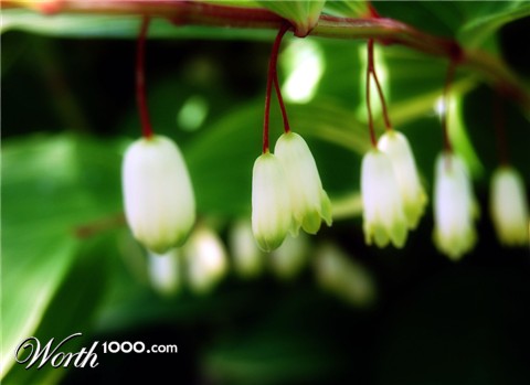 Photography by ecopper