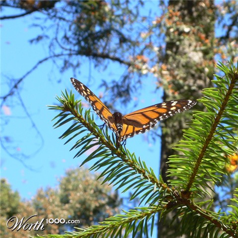 Photography by sausirhi