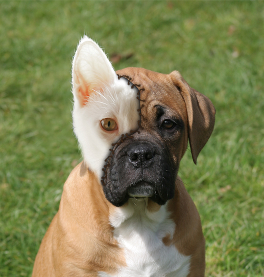 Photoshop Design by Larssonpsd for DesignCrowd (Community Contests) | Design #8942994